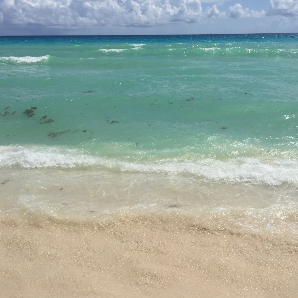 Meet your Posher, Bre